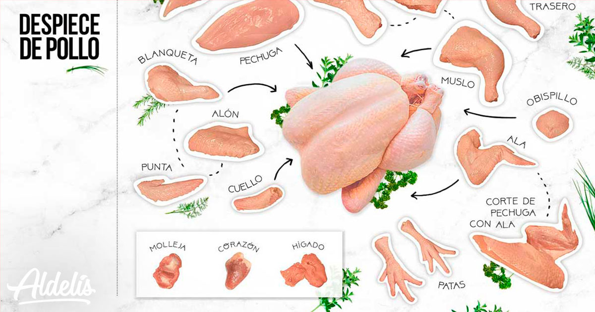 Arriba 106+ imagen partes de un pollo entero - Thcshoanghoatham-badinh