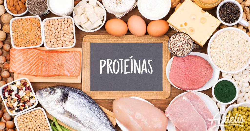 Alimentos ricos en proteínas Aldelís