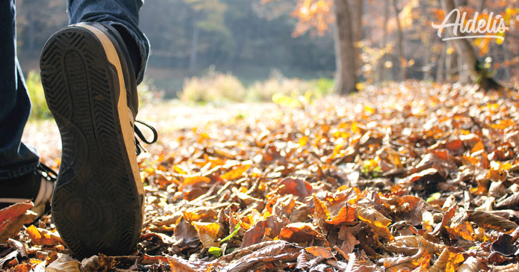 Deporte en Otoño Aldelís