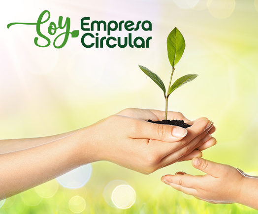 Medio Ambiente Aldelís