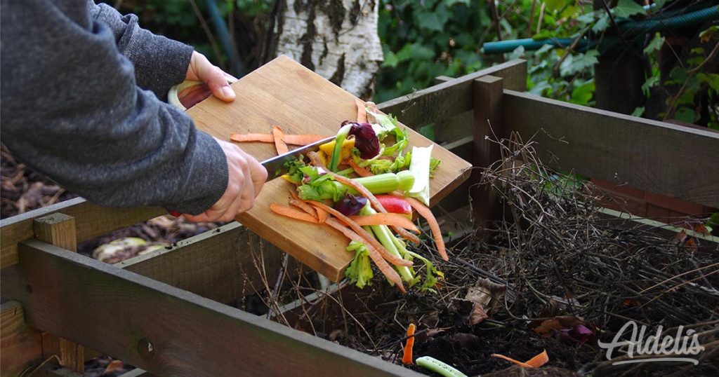 reciclar-organico-Aldelís