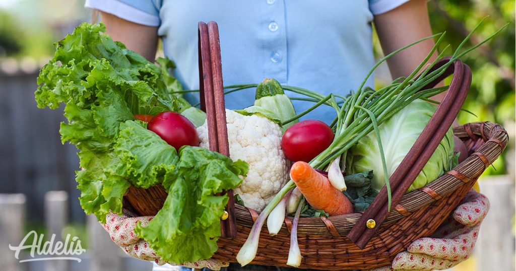 verduras-temporada-Aldelís